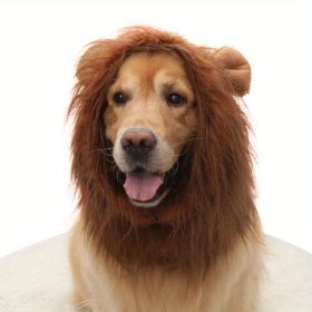 Lion Wig with Ears, Costume (Color: coffee, size: L)